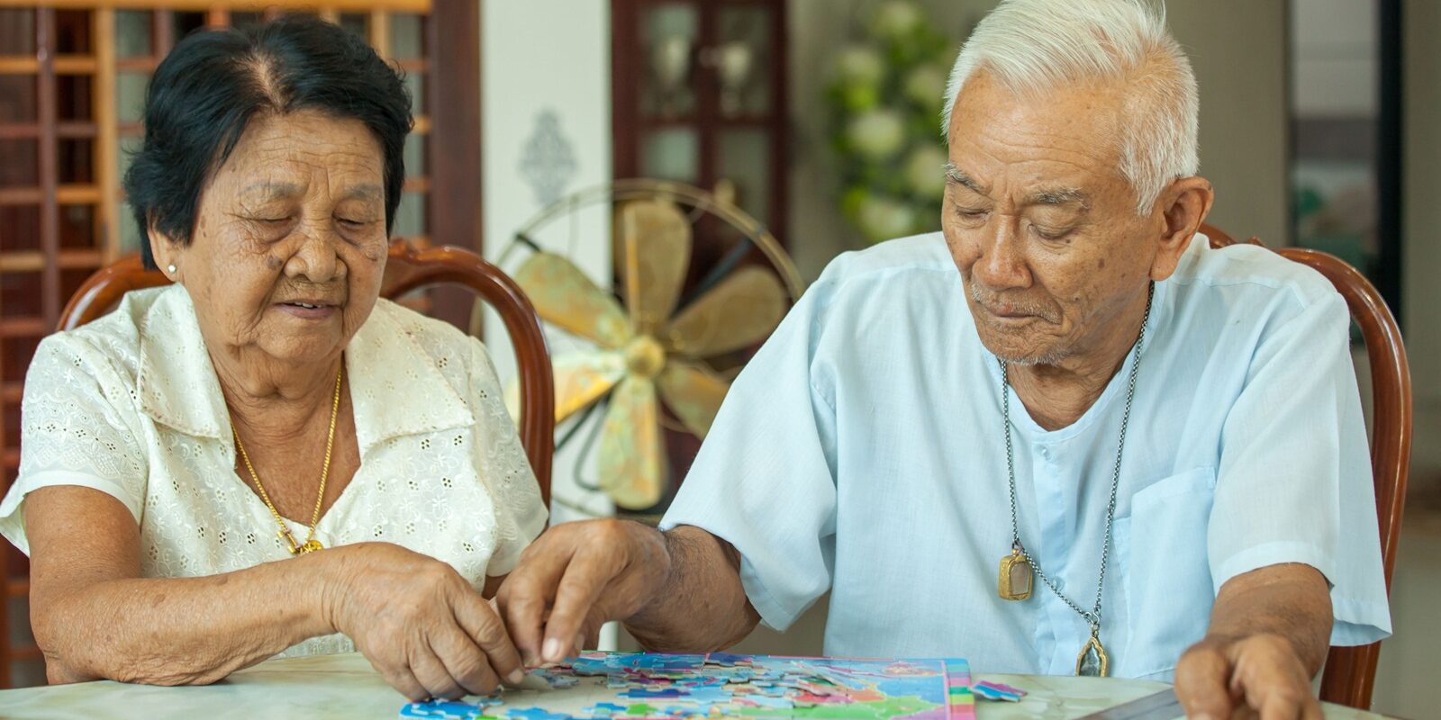 สวัสดิการผู้สูงอายุ สวัสดิการผู้สูงอายุ